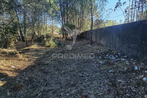 Terra a Alcanena, Santarem, Alcanena - € 40.000 | Ref: 041153 - foto 8
