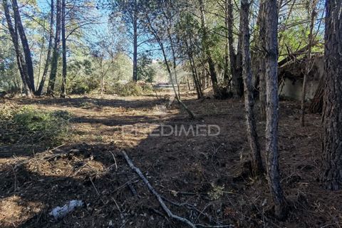 Terra a Alcanena, Santarem, Alcanena - € 40.000 | Ref: 041153 - foto 10