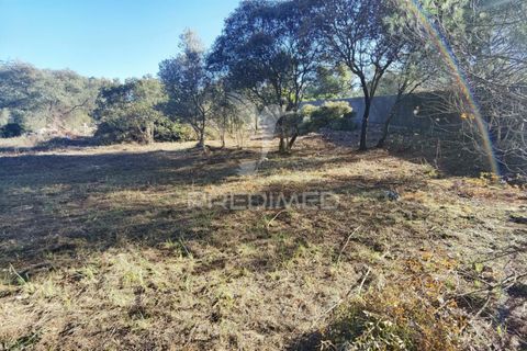 Terra a Alcanena, Santarem, Alcanena - € 40.000 | Ref: 041153 - foto 12