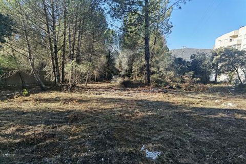 Terra a Alcanena, Santarem, Alcanena - € 40.000 | Ref: 041153 - foto 13