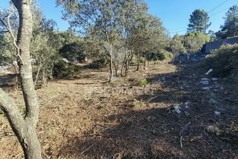 Terra a Alcanena, Santarem, Alcanena - € 40.000 | Ref: 041153 - foto 14