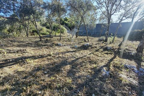 Terra a Alcanena, Santarem, Alcanena - € 40.000 | Ref: 041153 - foto 15