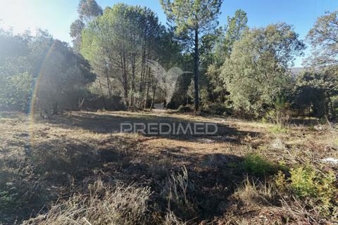 Terra a Alcanena, Santarem, Alcanena - € 40.000 | Ref: 041153 - foto 16