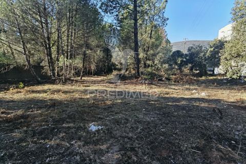 Terra a Alcanena, Santarem, Alcanena - € 40.000 | Ref: 041153 - foto 17
