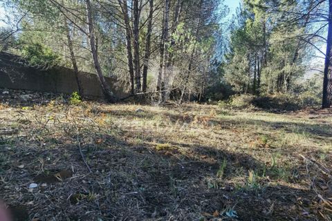 Terra a Alcanena, Santarem, Alcanena - € 40.000 | Ref: 041153 - foto 18