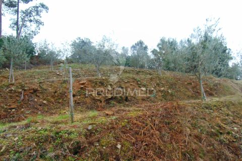 Helårsgrund i Vila Real, Vila Real, Vila Real - € 80.000 | Ref: 041240 - foto 3