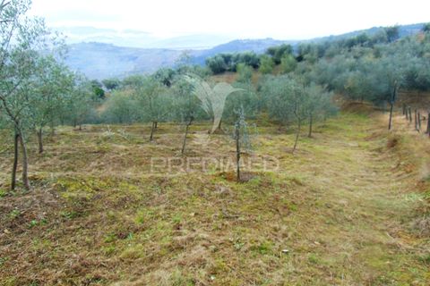 Helårsgrund i Vila Real, Vila Real, Vila Real - € 80.000 | Ref: 041240 - foto 6