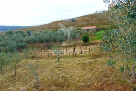Helårsgrund i Vila Real, Vila Real, Vila Real - € 80.000 | Ref: 041240 - foto 13