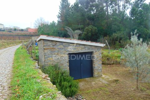 Helårsgrund i Vila Real, Vila Real, Vila Real - € 80.000 | Ref: 041240 - foto 25
