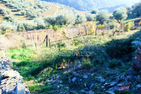 Helårsgrund i Vila Real, Vila Real, Vila Real - € 35.000 | Ref: 041645 - foto 3