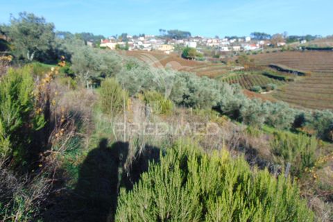 Helårsgrund i Vila Real, Vila Real, Vila Real - € 35.000 | Ref: 041645 - foto 7