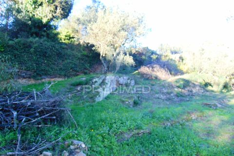 Helårsgrund i Vila Real, Vila Real, Vila Real - € 35.000 | Ref: 041645 - foto 11