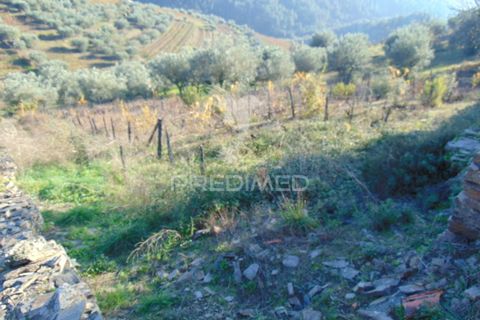Helårsgrund i Vila Real, Vila Real, Vila Real - € 35.000 | Ref: 041645 - foto 18