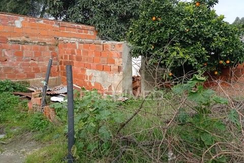 Byhus i Ponte de Sor, Portalegre, Ponte de Sor - € 49.000 | Ref: 042175 - foto 29