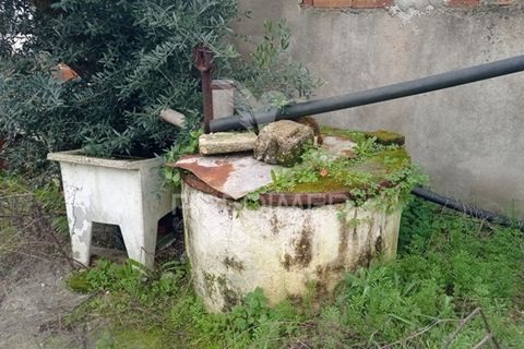 Byhus i Ponte de Sor, Portalegre, Ponte de Sor - € 49.000 | Ref: 042175 - foto 31