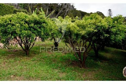 Byhus i Velas, Sao Jorge, Velas - € 375.000 | Ref: 042649 - foto 6