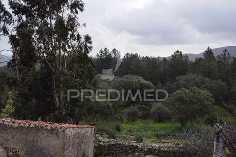 Farm hus i Castelo de Vide, Portalegre, Castelo de Vide - € 75.000 | Ref: 042997 - foto 7
