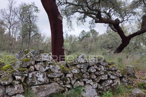 Farm hus i Castelo de Vide, Portalegre, Castelo de Vide - € 75.000 | Ref: 042997 - foto 8