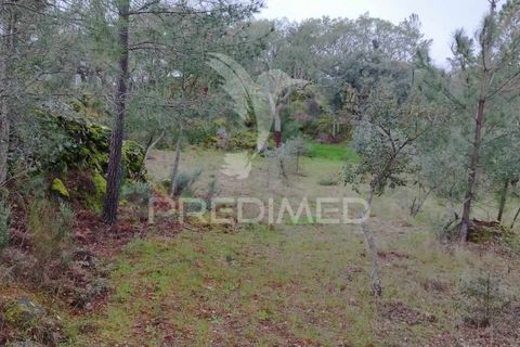 Farm hus i Castelo de Vide, Portalegre, Castelo de Vide - € 75.000 | Ref: 042997 - foto 11
