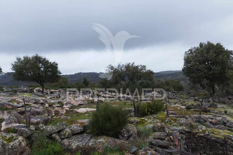 Farm hus i Castelo de Vide, Portalegre, Castelo de Vide - € 75.000 | Ref: 042997 - foto 15
