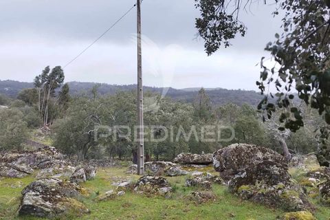 Farm hus i Castelo de Vide, Portalegre, Castelo de Vide - € 75.000 | Ref: 042997 - foto 16