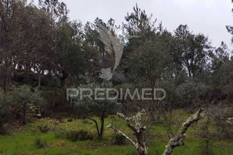 Farm hus i Castelo de Vide, Portalegre, Castelo de Vide - € 75.000 | Ref: 042997 - foto 17