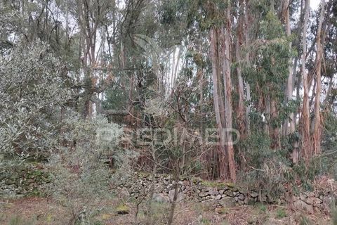 Farm hus i Castelo de Vide, Portalegre, Castelo de Vide - € 75.000 | Ref: 042997 - foto 18