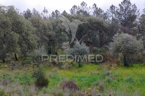 Farm hus i Castelo de Vide, Portalegre, Castelo de Vide - € 75.000 | Ref: 042997 - foto 19