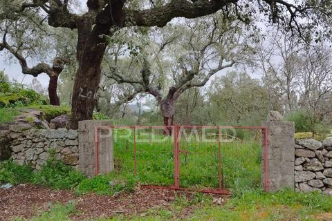 Farm hus i Castelo de Vide, Portalegre, Castelo de Vide - € 75.000 | Ref: 042997 - foto 21