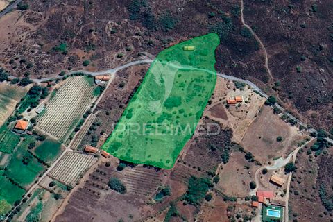 Farm hus i Belmonte, Castelo Branco, Belmonte - € 122.000 | Ref: 043177 - foto 7