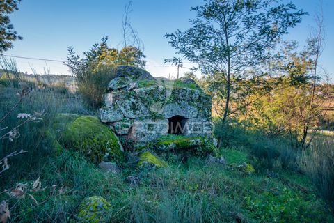 Farm hus i Belmonte, Castelo Branco, Belmonte - € 122.000 | Ref: 043177 - foto 9