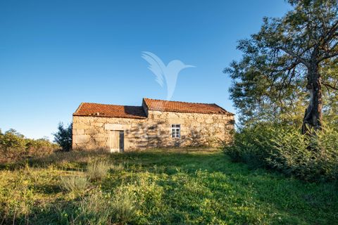 Farm hus i Belmonte, Castelo Branco, Belmonte - € 122.000 | Ref: 043177 - foto 11
