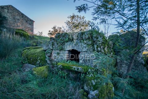 Farm hus i Belmonte, Castelo Branco, Belmonte - € 122.000 | Ref: 043177 - foto 13