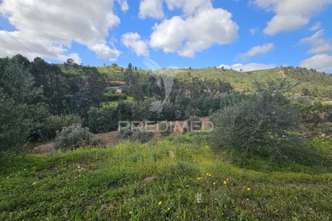 Helårsgrund i Silves, Faro, Silves - € 1.200.000 | Ref: 043388 - foto 4