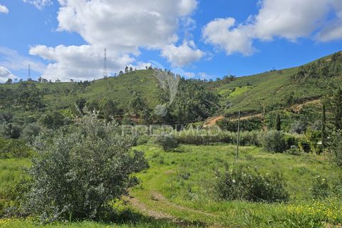 Helårsgrund i Silves, Faro, Silves - € 1.200.000 | Ref: 043388 - foto 5