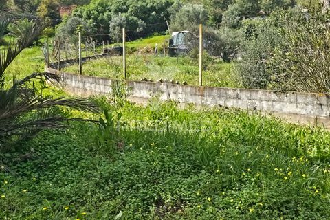 Helårsgrund i Silves, Faro, Silves - € 1.200.000 | Ref: 043388 - foto 8