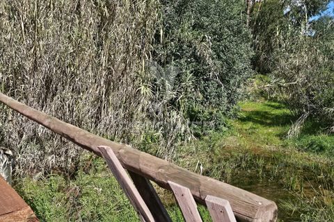 Helårsgrund i Silves, Faro, Silves - € 1.200.000 | Ref: 043388 - foto 9