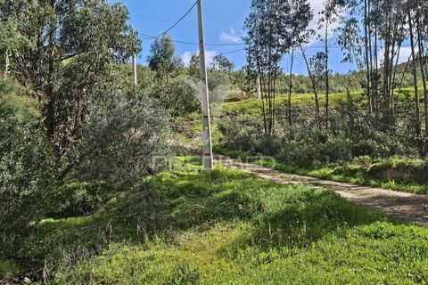 Helårsgrund i Silves, Faro, Silves - € 1.200.000 | Ref: 043388 - foto 10