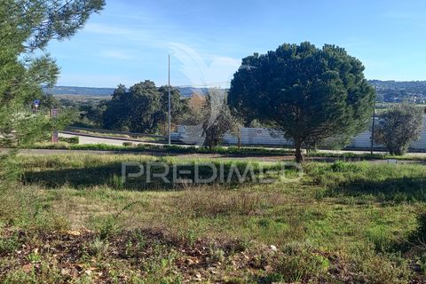 Tomt i Constancia, Santarem, Constancia - € 58 000 | Ref: 043724 - foto 4