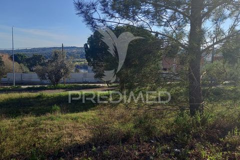 Tomt i Constancia, Santarem, Constancia - € 58 000 | Ref: 043724 - foto 5