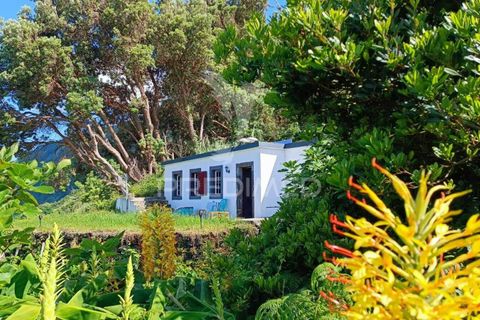 Landejendom i Velas, Sao Jorge, Velas - € 110.000 | Ref: 043736 - foto 3