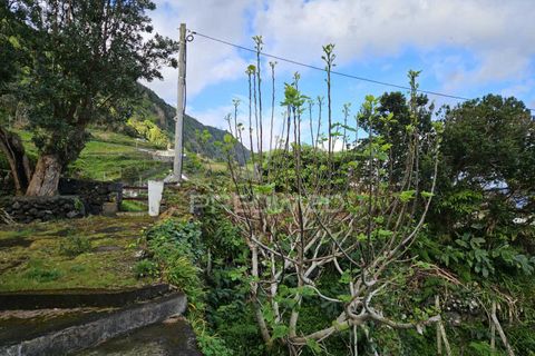 Landejendom i Velas, Sao Jorge, Velas - € 110.000 | Ref: 043736 - foto 12