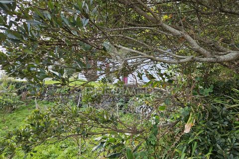 Landejendom i Velas, Sao Jorge, Velas - € 110.000 | Ref: 043736 - foto 16