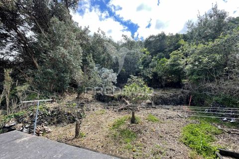 Landejendom i Velas, Sao Jorge, Velas - € 110.000 | Ref: 043736 - foto 20