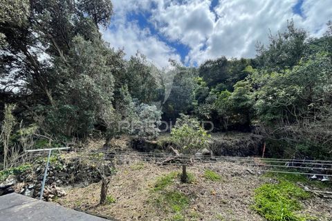 Landejendom i Velas, Sao Jorge, Velas - € 110.000 | Ref: 043736 - foto 21