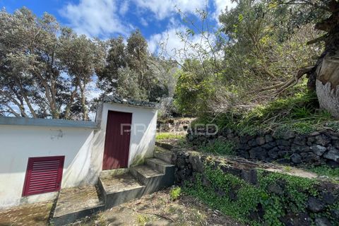 Landejendom i Velas, Sao Jorge, Velas - € 110.000 | Ref: 043736 - foto 34
