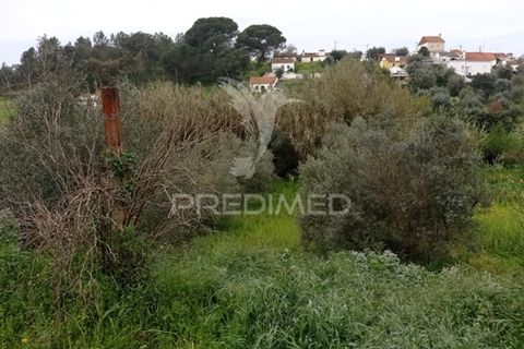 Byhus i Abrantes, Santarem, Abrantes - € 17.000 | Ref: 043737 - foto 19