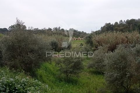 Byhus i Abrantes, Santarem, Abrantes - € 17.000 | Ref: 043737 - foto 21