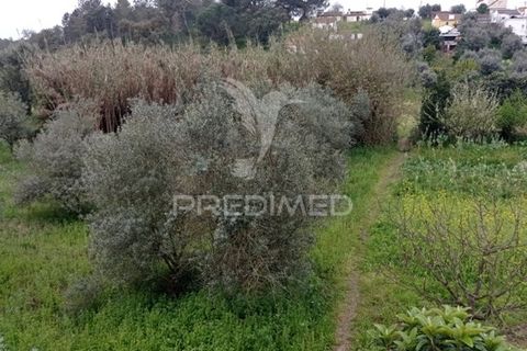 Byhus i Abrantes, Santarem, Abrantes - € 17.000 | Ref: 043737 - foto 22