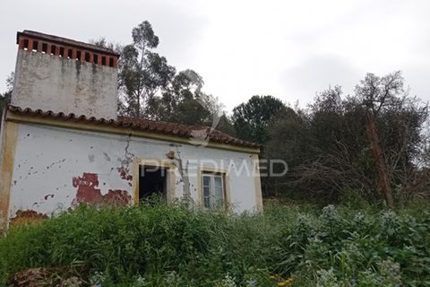 Byhus i Abrantes, Santarem, Abrantes - € 17.000 | Ref: 043737 - foto 23